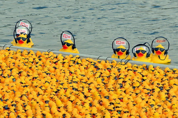 Maschsee13   720.jpg